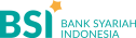 bsi logo